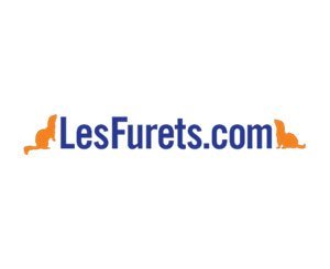 LesFurets.com se lance sur l’énergie pour accélérer l’ouverture du marché