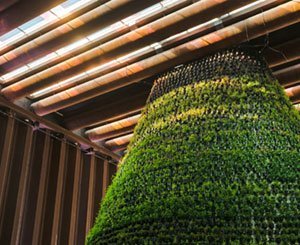 Ouverture du Pavillon des Pays-Bas à l'Expo de Dubaï, alimenté en énergie grâce aux puits de lumière Asca