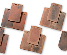 Chez Aléonard, la famille Saint-Vincent s’agrandit