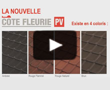 Terreal : la tuile Côte Fleurie PV