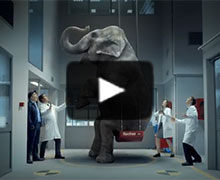 L’ampoule fischer Superbond RBS-ponts