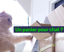 Do you speak collaboratif ?