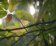 Vivez le monde de Renson