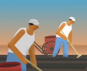 Le Groupe Colas vous souhaite une bonne année 2019