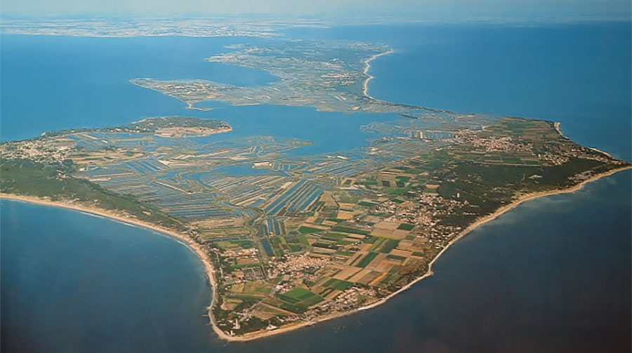Île de Ré - Image d'illustration - © Zassenhaus via Wikimedia Commons - Licence Creative Commons