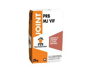 Lancement du PRB MJ VIF