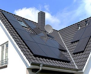 LG Solar distribue des cerisiers à ses clients dans le cadre de son Plan Climat - Neutralité Carbone 2030