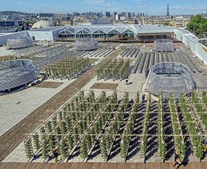 La plus grande ferme urbaine en Europe sera sur un toit de Paris