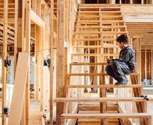 FCBA lance une Charte des Bonnes Pratiques dédiée à la préservation et au traitement du bois