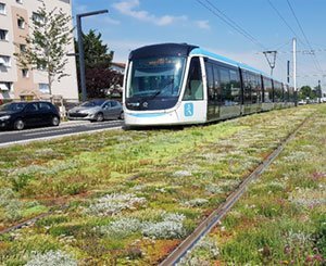 Ecovegetal fournit 11.000 m² de tapis végétalisés pour la ligne de Tramway T9 en Ile-de-France