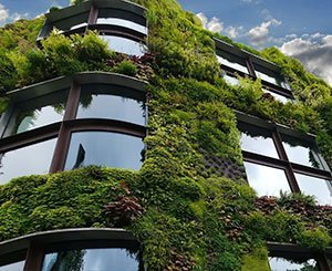 Greening cities: professionals are ready