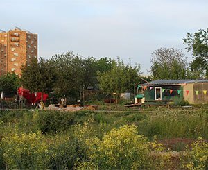 JO-2024 : la justice demande de préserver les jardins d'Aubervilliers