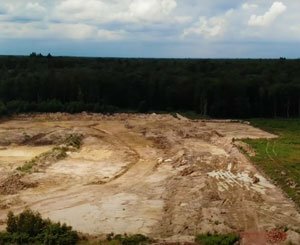 Rehabilitate the Kesseldorf quarry into a functional forest ecosystem