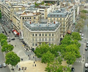 A Paris, les écologistes appellent Hidalgo à "préserver tous les arbres"