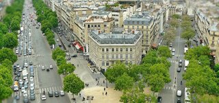 In Paris, environmentalists call on Hidalgo to "preserve all the trees"