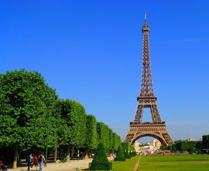 La mairie de Paris s'engage à revoir les abattages d'arbres dans ses projets