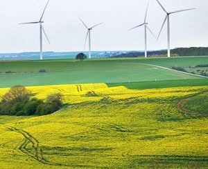 Recours des écologistes dans les Hauts-de-France contre une subvention aux anti-éoliennes