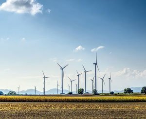 L'appétit des investisseurs pour les énergies renouvelables "plus fort que jamais" malgré les difficultés