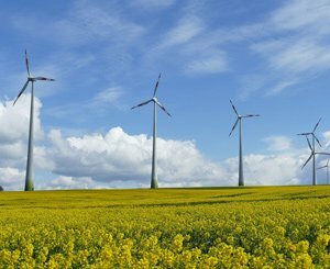 A study reveals the impact of onshore wind power in France