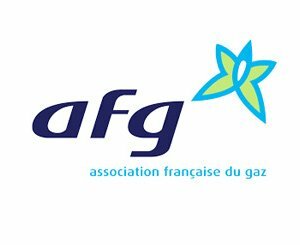 Propositions de l’Association Française du Gaz en réponse à la crise énergétique