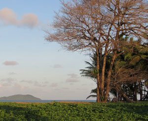 Le ministre des Outre-mer simplifie la rétrocession du foncier aux communes de Guyane