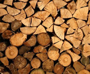 La situation s'annonce moins favorable pour le marché du bois en 2023 prévient l'ONF