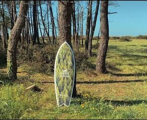 Hirsch Isolation x Squid Surfboards : Les planches de surf en PSE