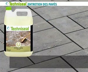 TS - Complete solution for the maintenance of paving stones - FR 2023
