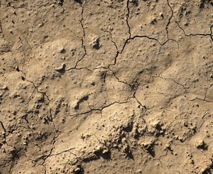 Insurers will test new solutions to protect homes against the effects of drought