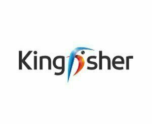 Kingfisher revises its annual objectives downwards