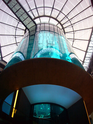 Aquarium de hôtel Radisson Blu, Berlin © temporalata via Wikimedia Commons - Licence Creative Commons