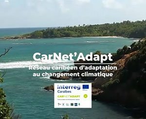 Presentation of the CarNet'Adapt project