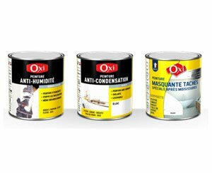 Combat humidity: discover the 3 specific Oxi solutions to “treat sick homes”