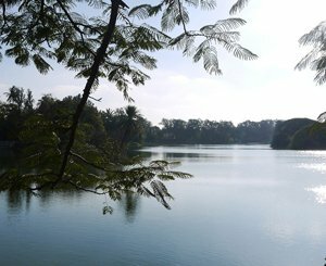 En Inde, "l'homme des lacs" œuvre à restaurer les réserves d'eau