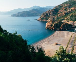 In Corsica, convicted for destruction of protected turtles, a contractor authorized to resume his site