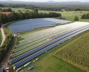 Marcoussis solar farm: sheep, natural allies of green energy