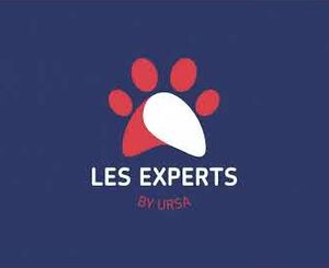 Les Experts by URSA - the program is evolving