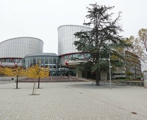 Projet A69 : des écologistes perchés devant la Cour européenne des droits de l'Homme