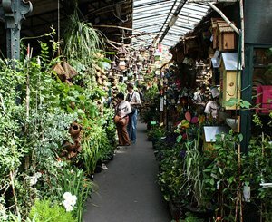 In Paris, the Cité flower market will be renovated between 2025 and 2028