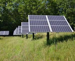 Italy bans ground-mounted solar panels on agricultural land