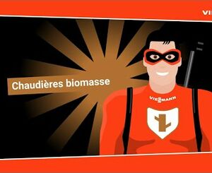 Quentin Fillon Maillet | Viessmann Climate Heroes