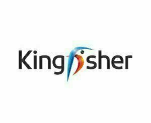 Kingfisher maintient ses objectifs après un 1er trimestre quasi stable