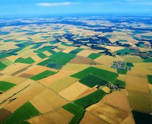 Financiariser la terre agricole est "dangereux", selon le président d'un organe de régulation