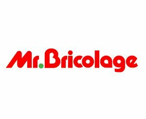 Mr Bricolage pénalisé par la baisse des travaux