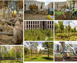 Spie batignolles paysage a réalisé la première forêt urbaine de Paris, Place de Catalogne