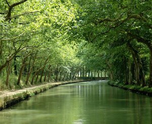 Les Alsaciens divisés sur la remise en navigation d'un vieux canal