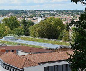 Les toits végétalisés : une solution pour réguler les eaux de pluie