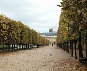 Anne Hidalgo inaugure la deuxième "forêt urbaine" de Paris