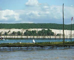 Pollution du bassin d'Arcachon : le gestionnaire des réseaux se défend