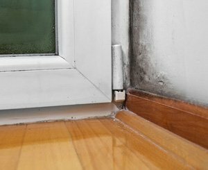 Humidité et manque d'aération : le fléau sous-considéré des moisissures dans les logements